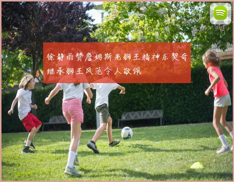 徐静雨赞詹姆斯老狮王精神东契奇继承狮王风范令人敬佩