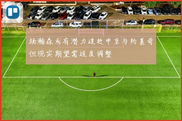 杨瀚森或有潜力追赶申京与约基奇但现实期望需适度调整