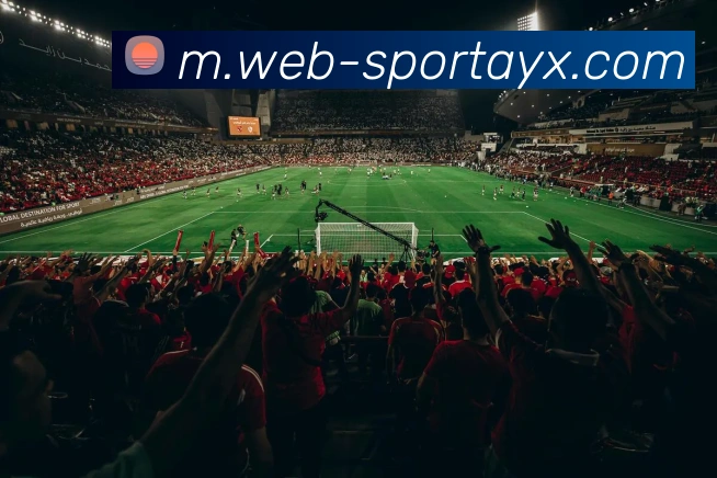 App Interface Preview